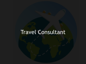 Travel Consultant