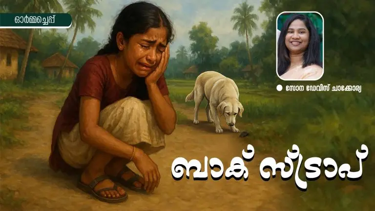 BACK STRAP WITH SONA